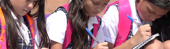 Education System Improvement Tool (ESIT)